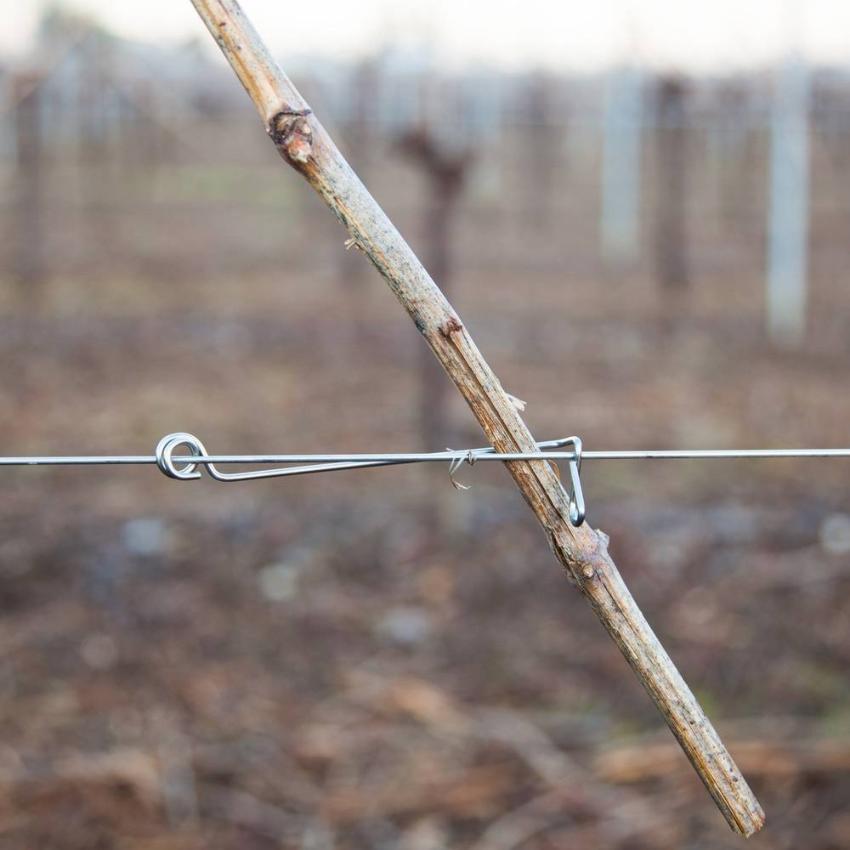 Clip antidesprendimiento para sarmiento