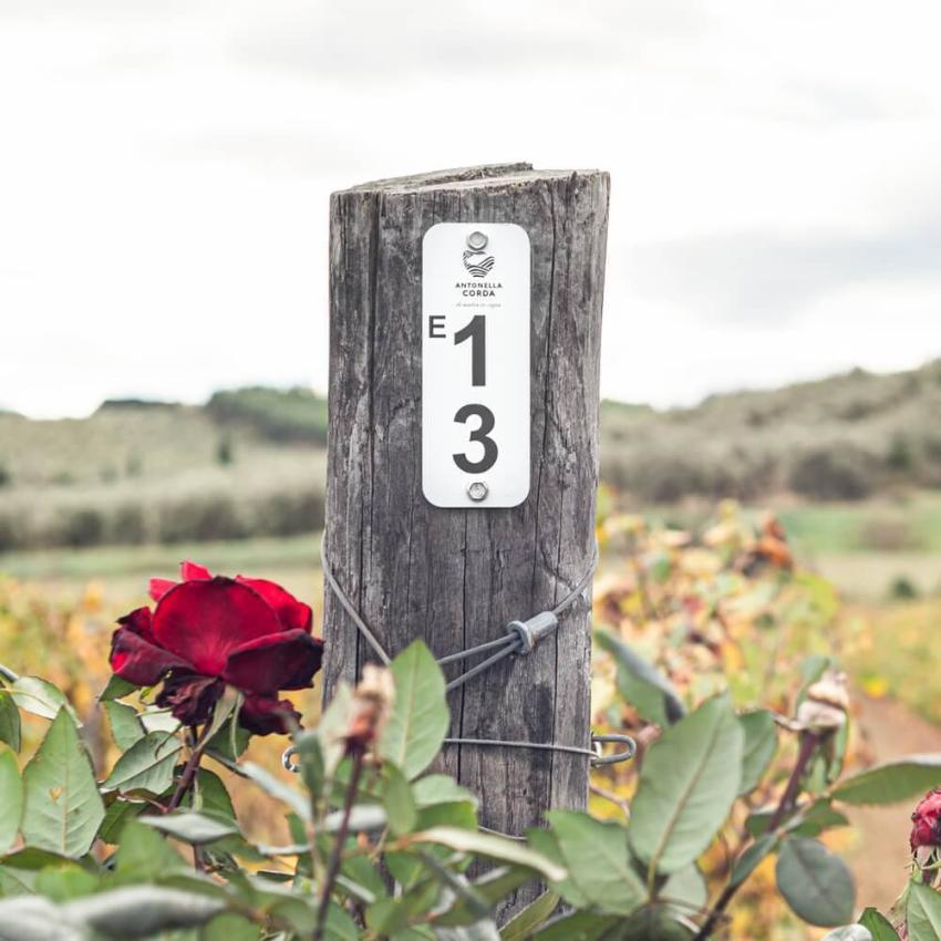 Etiquetas numeradas para postes de viñedo "Grapes"
